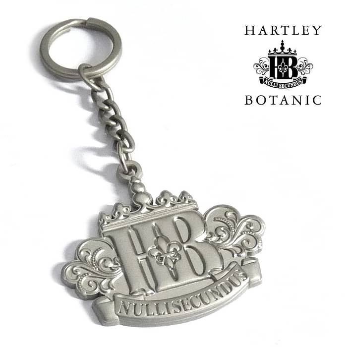 3d keyring matt silver